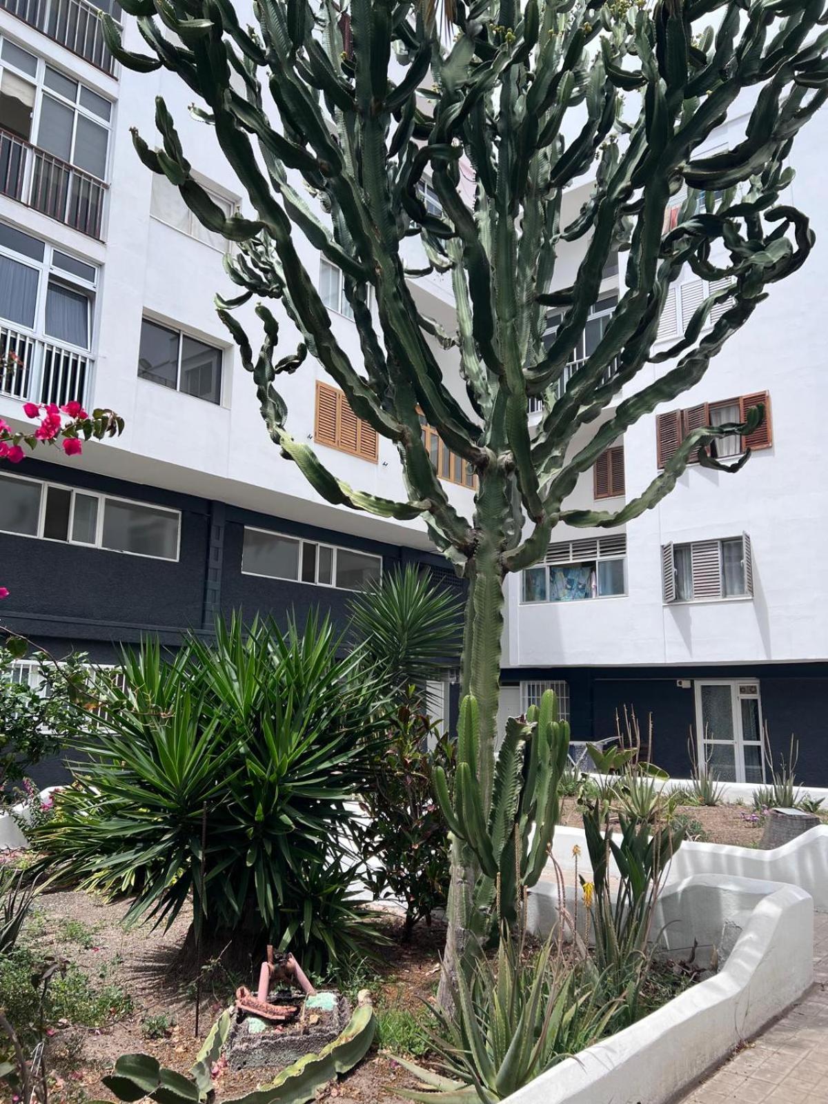 Relax Apartamento 3 Las Palmas de Gran Canaria Exterior foto